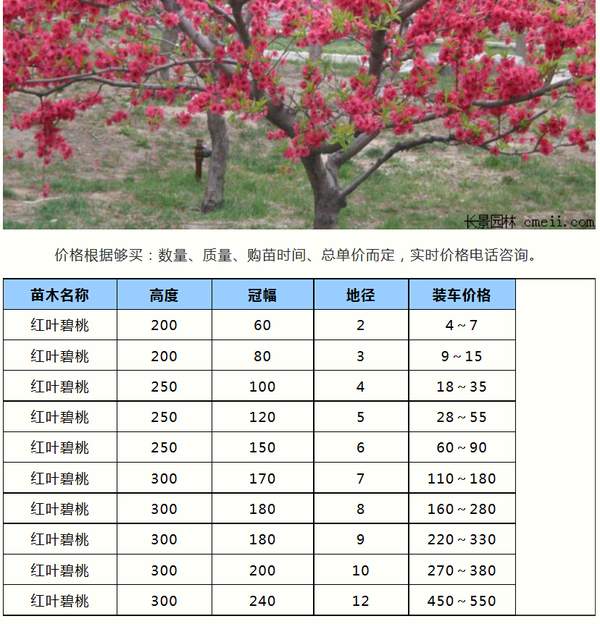 http://www.shizendo.com.cn/uploads/allimg/160910/11-16091015254M05.jpg
